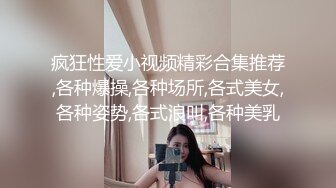 Al&mdash;张钧宁女仆内射