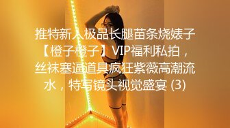 推特新人极品长腿苗条烧婊子【橙子橙子】VIP福利私拍，丝袜塞逼道具疯狂紫薇高潮流水，特写镜头视觉盛宴 (3)