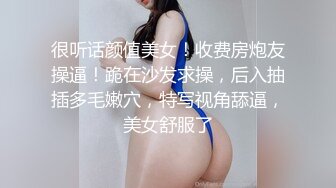 百度云高端泄密极品美女上海何麦伢与男友啪啪不雅视图流出