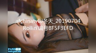 BOSS哥-巨乳空姐长腿黑丝和肉丝激情