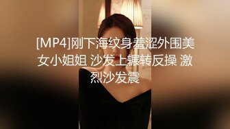 [MP4]刚下海纹身羞涩外围美女小姐姐 沙发上辗转反操 激烈沙发震