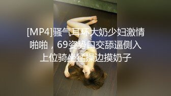 [MP4]骚气耳环大奶少妇激情啪啪，69姿势口交舔逼侧入上位骑坐猛操边摸奶子