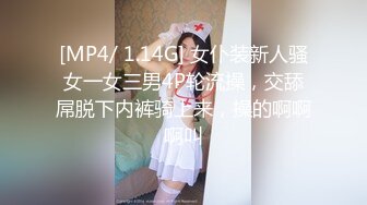 [MP4]广州精品大圈 温柔懂事 甜美小清新 女友般感觉，激吻不停小姐姐太敬业好温柔