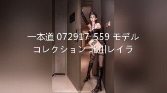 一本道 072917_559 モデルコレクション 北川レイラ