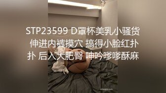 STP23599 D罩杯美乳小骚货 伸进内裤摸穴 搞得小脸红扑扑 后入大肥臀 呻吟嗲嗲酥麻