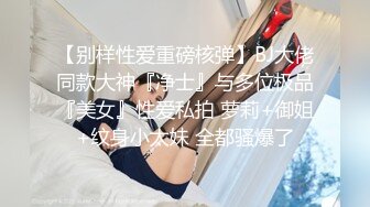 爱豆传媒IDG5413隔壁被家暴的人妻