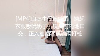 [MP4/1.6G]氣質美女報復男友勾搭滴滴司機車內口交開房打炮／巨乳少婦賣車遇粉絲買家主動投怀送抱路邊車震等 720p