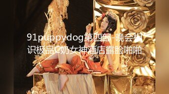 91puppydog第四部-晚会相识极品C奶女神酒店露脸啪啪