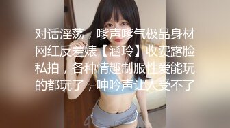 国产麻豆AV MD MD0203 迷奸女租客 苏娅 玥可岚