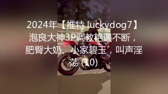 [高清中文字幕]HND-333 愛犬美人篠田步美喜歡像狗一樣被人在體內射精