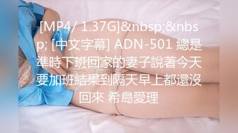 [MP4/ 1.37G]&nbsp;&nbsp; [中文字幕] ADN-501 總是準時下班回家的妻子說著今天要加班結果到隔天早上都還沒回來 希島愛理