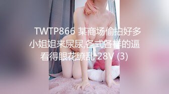 ✅TWTP866 某商场偷拍好多小姐姐来尿尿,各式各样的逼看得眼花缭乱 28V (3)