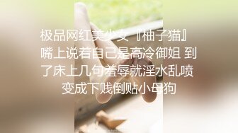 沈娇娇-蝴蝶结特刊