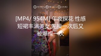 LAA-0046亚裔少妇强上维修工