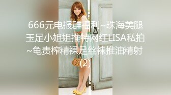 酒吧女厕小手电补光偷拍多位美女少妇 各种肥美的小黑鲍鱼5