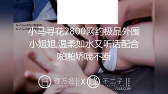 小马寻花2800网约极品外围小姐姐,温柔如水又听话配合啪啪娇喘不断