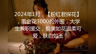 2024年1月，【粉红君探花】，重金花3000约外围，大学生兼职援交，貌美如花温柔可爱，肤白如玉