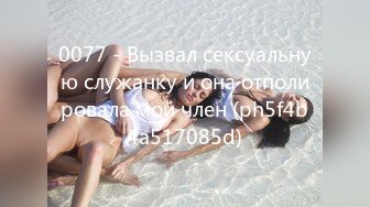 0077 - Вызвал сексуальную служанку и она отполировала мой член (ph5f4b4a517085d)