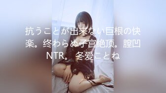 抗うことが出来ない巨根の快楽。终わらぬ子宫絶顶。膣凹NTR。 冬爱ことね