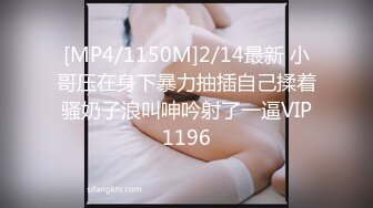 [MP4/504M]12/23最新 极品外围美女欲求不满上门要求操后入大屁股VIP1196