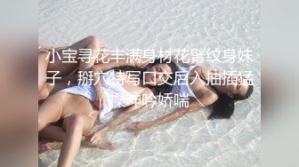 小宝寻花丰满身材花臂纹身妹子，掰穴特写口交后入抽插猛操呻吟娇喘