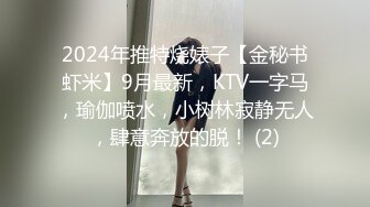 2024年推特烧婊子【金秘书虾米】9月最新，KTV一字马，瑜伽喷水，小树林寂静无人，肆意奔放的脱！ (2)