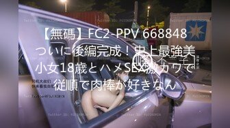 高质量高撸点短视频系列【第1弹】巨乳与玩具