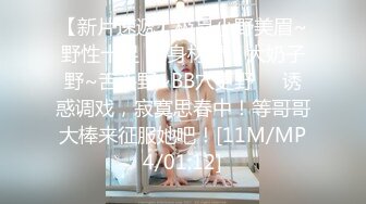 麻豆传媒MDX-0237-6空姐私下的需求-蜜苏[MP4/275MB]