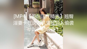 涩会传媒SH004《我的嫂子是妓女》漂亮嫂子无法忘