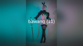 bawang (11)