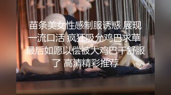 【国产】高颜值气质女神和情人在饭店吃到一半时到厕所里啪啪操的美女浪叫