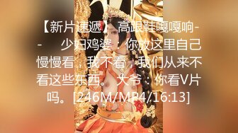 【新片速遞】 高跟鞋嘎嘎响--❤️少妇鸡婆：你放这里自己慢慢看，我不看，我们从来不看这些东西。 大爷：你看V片吗。[246M/MP4/16:13]