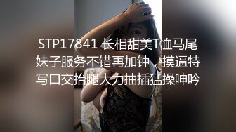 (Uncen-leaked) HND-135 欲求不満な人妻の月に1度の排卵日妊活オフ会 倉多まお