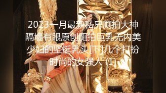 2023一月最新私房厕拍大神隔墙有眼原创厕拍巨乳无内美少妇的坚挺乳头[下]几个打扮时尚的女强人 (1)