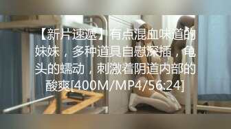 19岁的学生狗