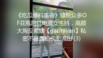 《吃瓜爆料重磅》狼粉众多OF花瓶网红电竞女主持，高颜大胸反差婊【gatitayan】私密不雅自拍视图流出 (3)