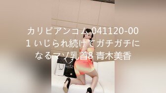 カリビアンコム 041120-001 いじられ続けてガチガチになるマゾ乳首8 青木美香