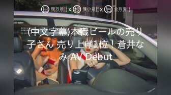 (中文字幕)本職ビールの売り子さん 売り上げ1位！蒼井なみ AV Debut