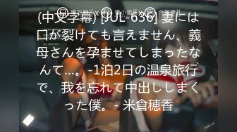 (中文字幕)もう一度シてしまったら、きっと私は抜け出せない… AIKA