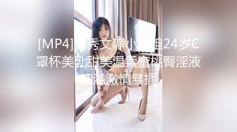 [MP4]清秀文静小姐姐24岁C罩杯美乳甜美温柔蜜桃臀淫液四溢激情暴插