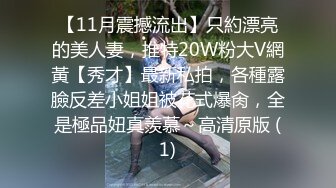 【11月震撼流出】只約漂亮的美人妻，推特20W粉大V網黃【秀才】最新私拍，各種露臉反差小姐姐被花式爆肏，全是極品妞真羨慕～高清原版 (1)