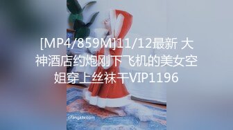 [MP4/859M]11/12最新 大神酒店约炮刚下飞机的美女空姐穿上丝袜干VIP1196