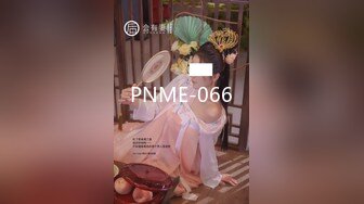 PNME-066