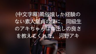 (中文字幕)風俗嬢しか経験のない素人童貞の僕に、同級生のアキちゃんは中出しの良さを教えてくれた。 河野アキ