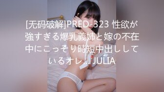 [无码破解]PRED-323 性欲が強すぎる爆乳義姉と嫁の不在中にこっそり時短中出ししているオレ… JULIA