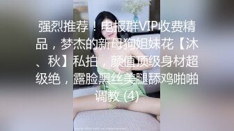 强烈推荐！电报群VIP收费精品，梦杰的新母狗姐妹花【沐、秋】私拍，颜值顶级身材超级绝，露脸黑丝美腿舔鸡啪啪调教 (4)