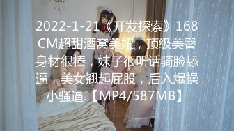 [MP4/881MB]小飛探花 12