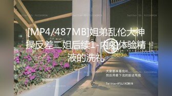 国产AV 蜜桃影像传媒 PM041 淫乱圣诞趴 AV篇 白星雨