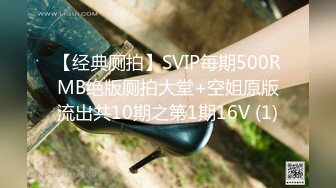 【经典厕拍】SVIP每期500RMB绝版厕拍大堂+空姐原版流出共10期之第1期16V (1)