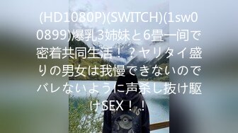 (HD1080P)(SWITCH)(1sw00899)爆乳3姉妹と6畳一间で密着共同生活！？ヤリタイ盛りの男女は我慢できないのでバレないように声杀し抜け駆けSEX！！